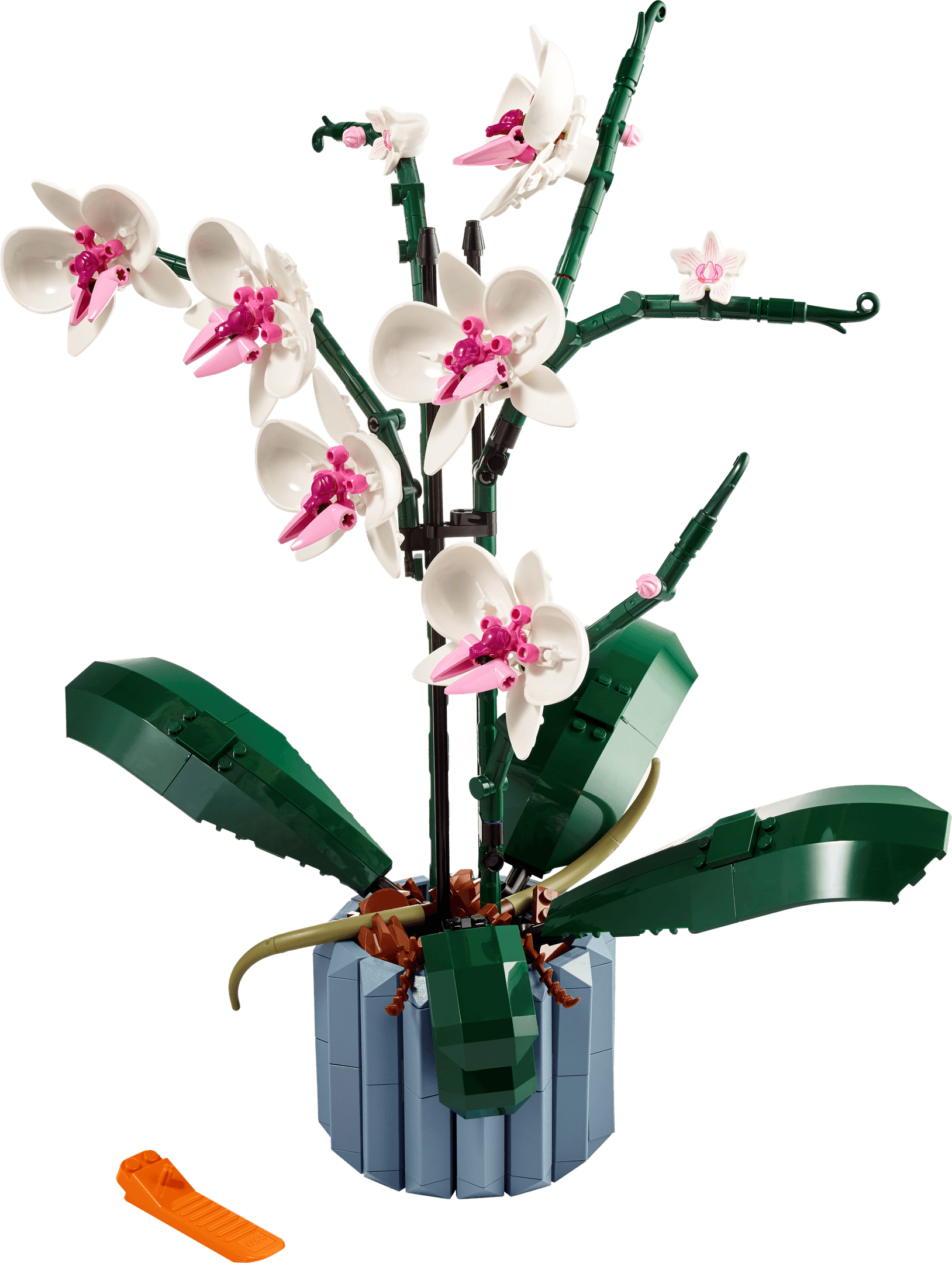 Boîte du set LEGO 10311 Botanicals L'orchidée